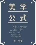 美学公式