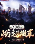 大明海盗之崛起微末