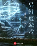 异维度游戏